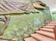 Staircase with a large dinosaur mural on the wall at 1465 Belle Terre Rd, Davenport, FL 33896