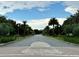 Palm-tree-lined road leading into community at 8426 Morehouse Dr, Orlando, FL 32836