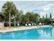 Inviting resort-style pool with palm trees and lounge chairs at 8426 Morehouse Dr, Orlando, FL 32836