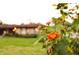 Close-up of lantana flowers with a house in the background at 1159 Collins Ave, Orange City, FL 32763