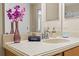 Bathroom vanity with vessel sink, decorative accents and mirror at 1473 Moon Valley Dr, Davenport, FL 33896