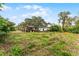 Spacious backyard with shed and partial clearing at 2935 Aein Rd, Orlando, FL 32817