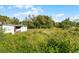 Backyard with overgrown vegetation and a shed at 2935 Aein Rd, Orlando, FL 32817