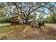 Large backyard with mature oak trees and various outbuildings at 2935 Aein Rd, Orlando, FL 32817