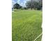 Spacious backyard with lush grass and lake view at 2688 Hawthorne Ln, Kissimmee, FL 34743