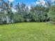 Large backyard with lush green grass and trees at 1904 Historic Goldsboro Blvd, Sanford, FL 32771