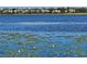 Peaceful lake view with lily pads and houses in the background at 4715 Beach Blvd, Orlando, FL 32803