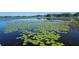 Serene lake view with lily pads at 4715 Beach Blvd, Orlando, FL 32803