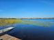 Picturesque lake view from the dock at 4715 Beach Blvd, Orlando, FL 32803