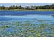 Tranquil lake view with lily pads at 4715 Beach Blvd, Orlando, FL 32803