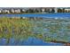 Scenic lake view with lush greenery and calm water at 4715 Beach Blvd, Orlando, FL 32803