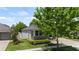 Side yard view of the house and landscaping at 14269 Shocklach Dr, Winter Garden, FL 34787