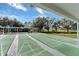 Well-maintained shuffleboard courts in a shady, outdoor setting at 4538 Nottoway Dr, Leesburg, FL 34748