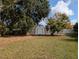 Large backyard with shed and green grass at 1301 Redwood Ct, Tavares, FL 32778