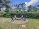 Relaxing fire pit area with four chairs, perfect for outdoor gatherings at 693 Charrice Pl, Sanford, FL 32771