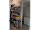 Well-organized pantry with ample shelving at 12500 Encore At Ovation Way, Winter Garden, FL 34787