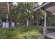 Overgrown backyard with shed and chain link fence at 447-441 N Lincoln St, Daytona Beach, FL 32114