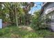 Overgrown side yard with tropical plants at 447-441 N Lincoln St, Daytona Beach, FL 32114