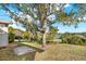 Spacious backyard with lake view, lush landscaping, and a large tree at 504 Osceola Ave, Eustis, FL 32726