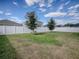Fenced backyard with grass and two trees at 911 Avenal, Davenport, FL 33837
