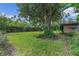 Spacious backyard with lush lawn, mature trees, and privacy hedge at 2900 Lake Arnold Pl, Orlando, FL 32806