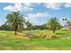 Picturesque golf course with palm trees and a waterway at 235 Royal Palm Dr, Davenport, FL 33837