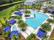 Aerial view of community pool and spa with landscaping at 2610 Calistoga Ave, Kissimmee, FL 34741