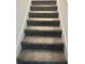 Carpeted staircase leading to the upper level at 4255 Green Gables Pl, Kissimmee, FL 34746