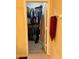 Spacious walk-in closet with ample shelving and hanging space at 6462 Cantua Ln # 105, Orlando, FL 32835