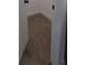 Small carpeted closet with white door at 3245 Sustainable Way, Kissimmee, FL 34747