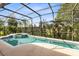 Screened pool and spa with lush landscaping at 2815 Crane Trace Cir, Orlando, FL 32837