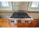 Stainless steel Wolf cooktop with red knobs is the centerpiece of this kitchen at 4150 Citrus St, Kissimmee, FL 34746