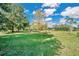 Spacious backyard with lush green grass and mature trees at 4150 Citrus St, Kissimmee, FL 34746