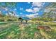 Stone well with a metal roof and large rock nearby at 4150 Citrus St, Kissimmee, FL 34746