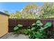 Small, private backyard with tropical plants at 3390 Cedar Spring Pl # 163, Winter Park, FL 32792