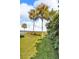 Backyard with palm trees and a scenic lake view at 1836 N Crystal Lake Dr # 31, Lakeland, FL 33801