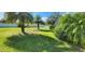 Spacious backyard with mature palm trees at 356 Giovani Blvd, Clermont, FL 34715