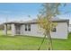 Gray house exterior with covered patio and grassy backyard, young tree in front at 4751 Jasmine Cir, Leesburg, FL 34748
