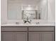 Double vanity bathroom with gray cabinets and a large mirror at 3827 Rory Pond Ct, Lakeland, FL 33811