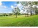 Serene backyard setting with mature trees and a green expanse at 3984 Beacon Ridge Way, Clermont, FL 34711