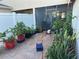 Landscaped backyard with potted plants at 4803 Apple Blossom Ln # 4803, St Cloud, FL 34771
