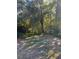 Large backyard with lush landscaping at 3524 Hage Way, Orlando, FL 32805