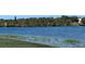 Tranquil lake view with lush greenery along the shoreline at 1065 S Hiawassee Rd # 1428, Orlando, FL 32835