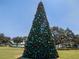 Large decorated Christmas tree in a park setting at 3577 Dahlia Dr, Lake Hamilton, FL 33851