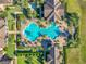 Community pool and surrounding landscape viewed from above at 349 Alcove Dr, Groveland, FL 34736