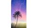 Silhouette of palm tree at sunset at 2025 St George Dr, Davenport, FL 33837