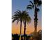 Three palm trees at sunset, creating a tranquil scene at 2025 St George Dr, Davenport, FL 33837