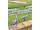 Two Sandhill Cranes near a golf course at 2025 St George Dr, Davenport, FL 33837