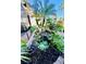Landscaped backyard with a charming water feature at 2025 St George Dr, Davenport, FL 33837