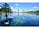 Tranquil lake view with swans and the Orlando skyline in the distance at 1403 E Pine St, Orlando, FL 32801